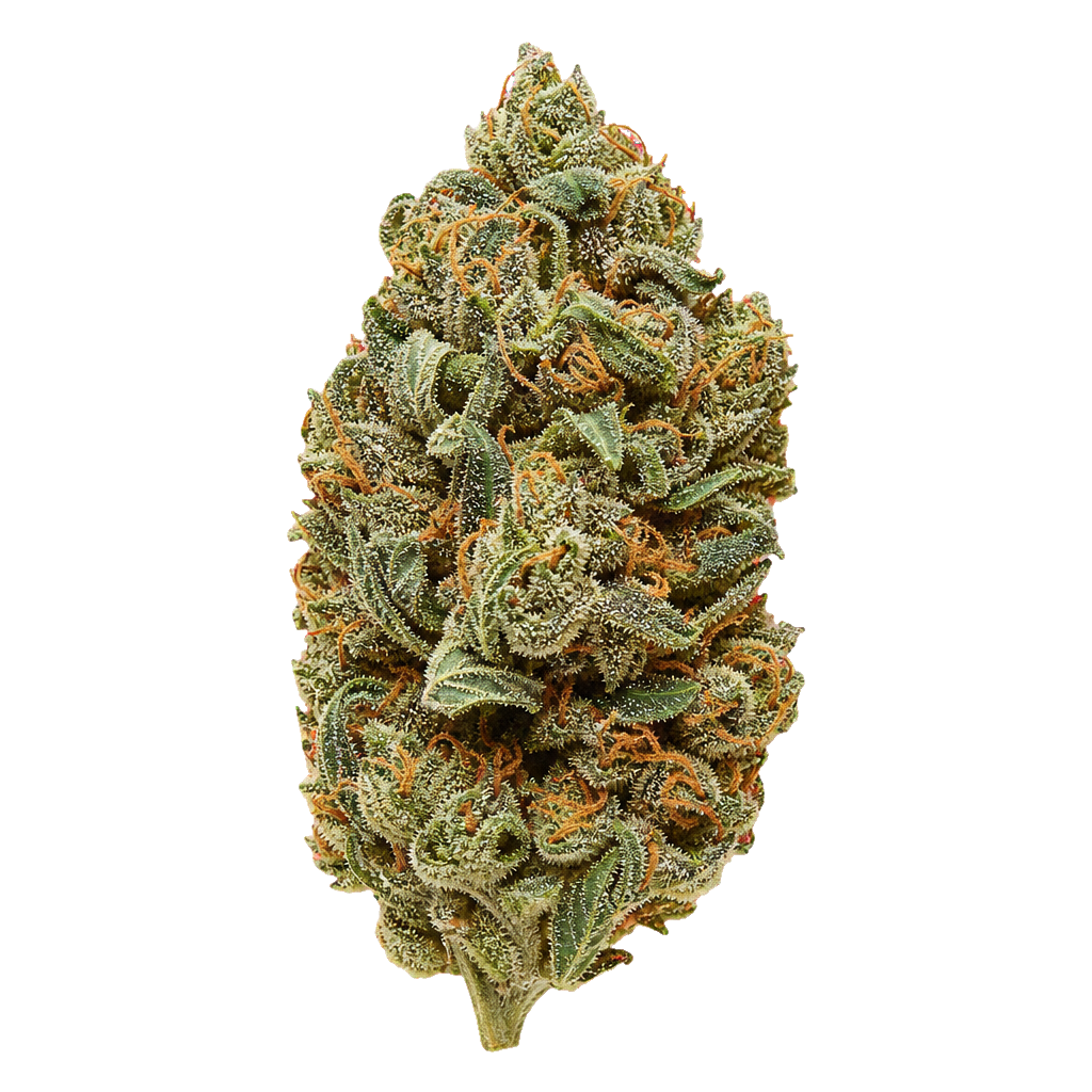 Granddaddy Punch