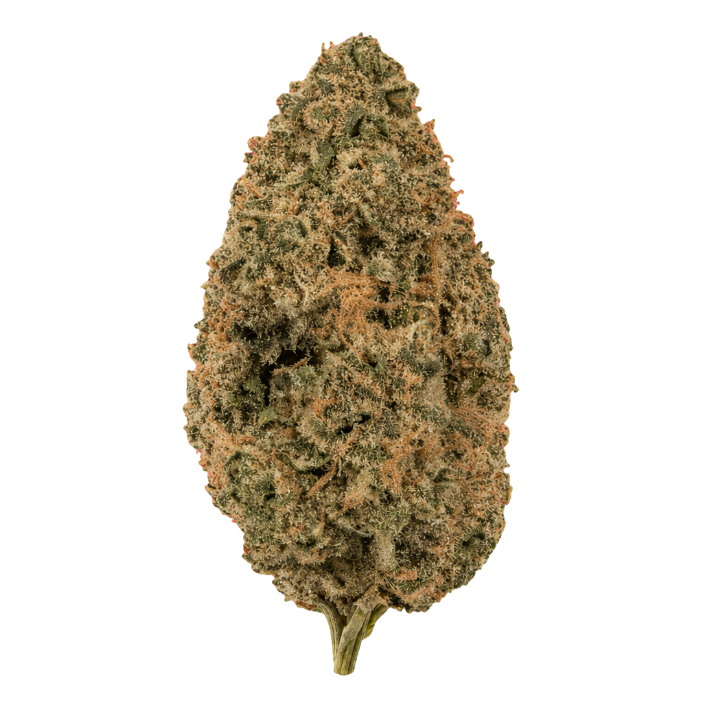 Gelato OG