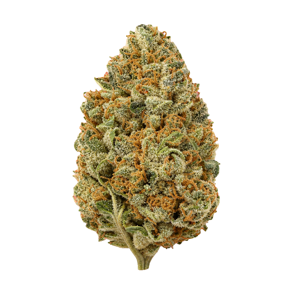 Kings Kush
