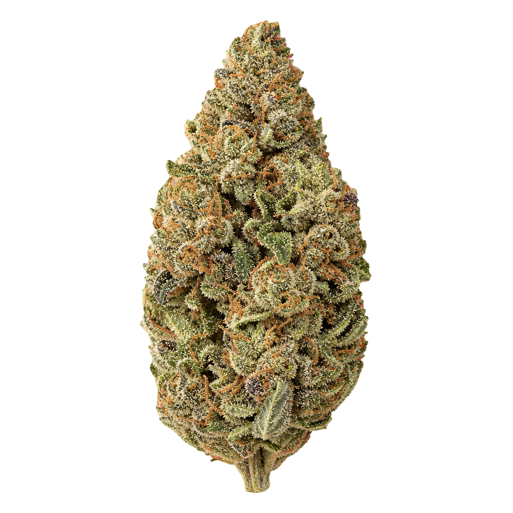 Donkey Breath