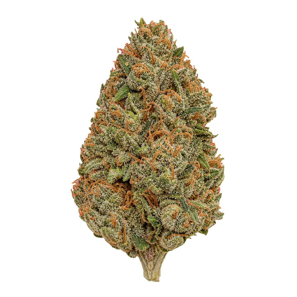 Cannabisprodukt Craft Kings 24/1 APS Apes in Space