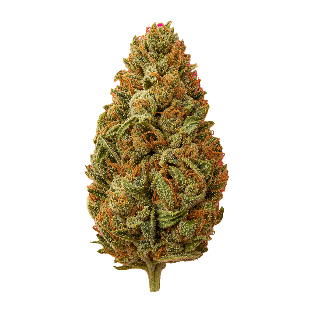 Tropicana Cookies