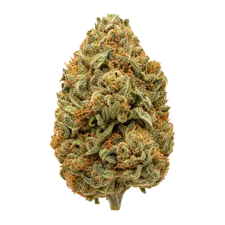 The BC Green CD 25/1 – Chemdog