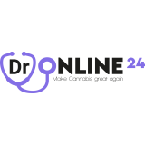 Dronline24 Logo